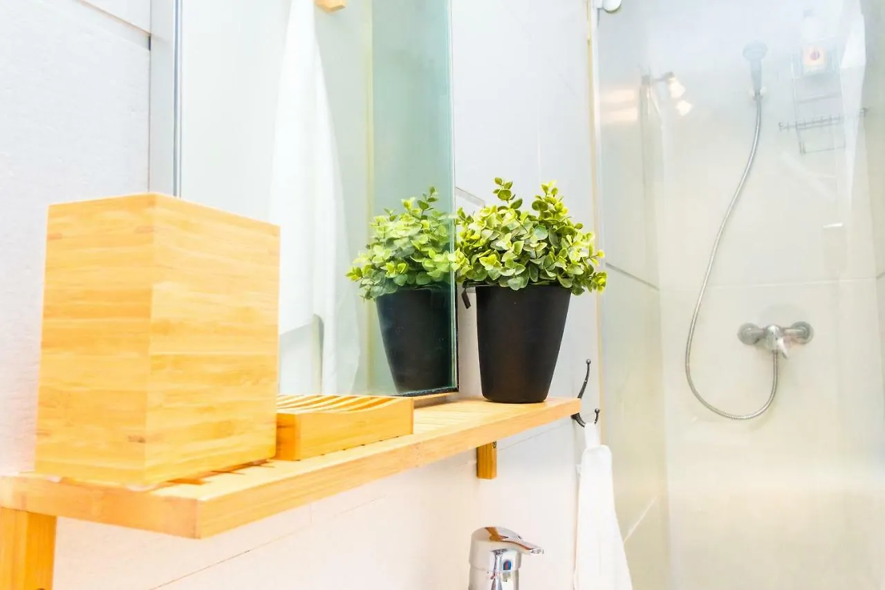 Apartament Frida Malaga Centro 0*,