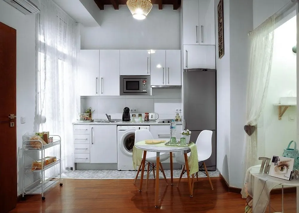 Apartament Frida Malaga Centro 0*,  Hiszpania
